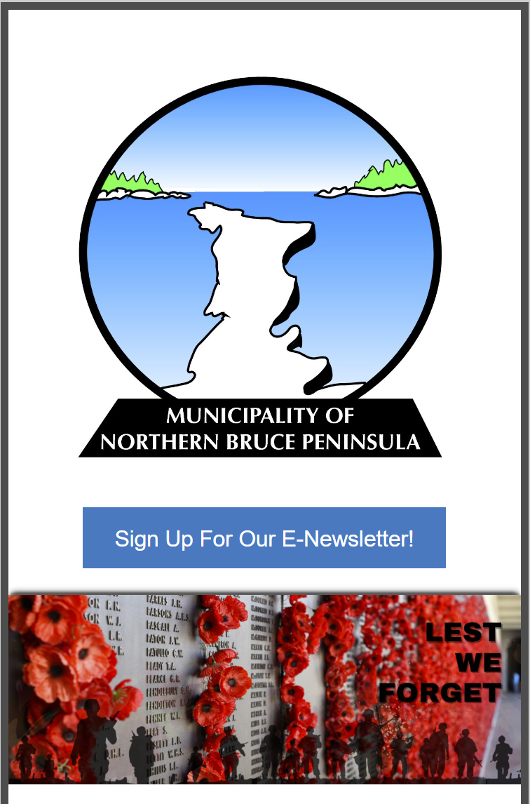 Image of NBP Community Newsletter - November 2024