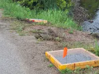 Nesting Snapping Turtle and nest protector boxes